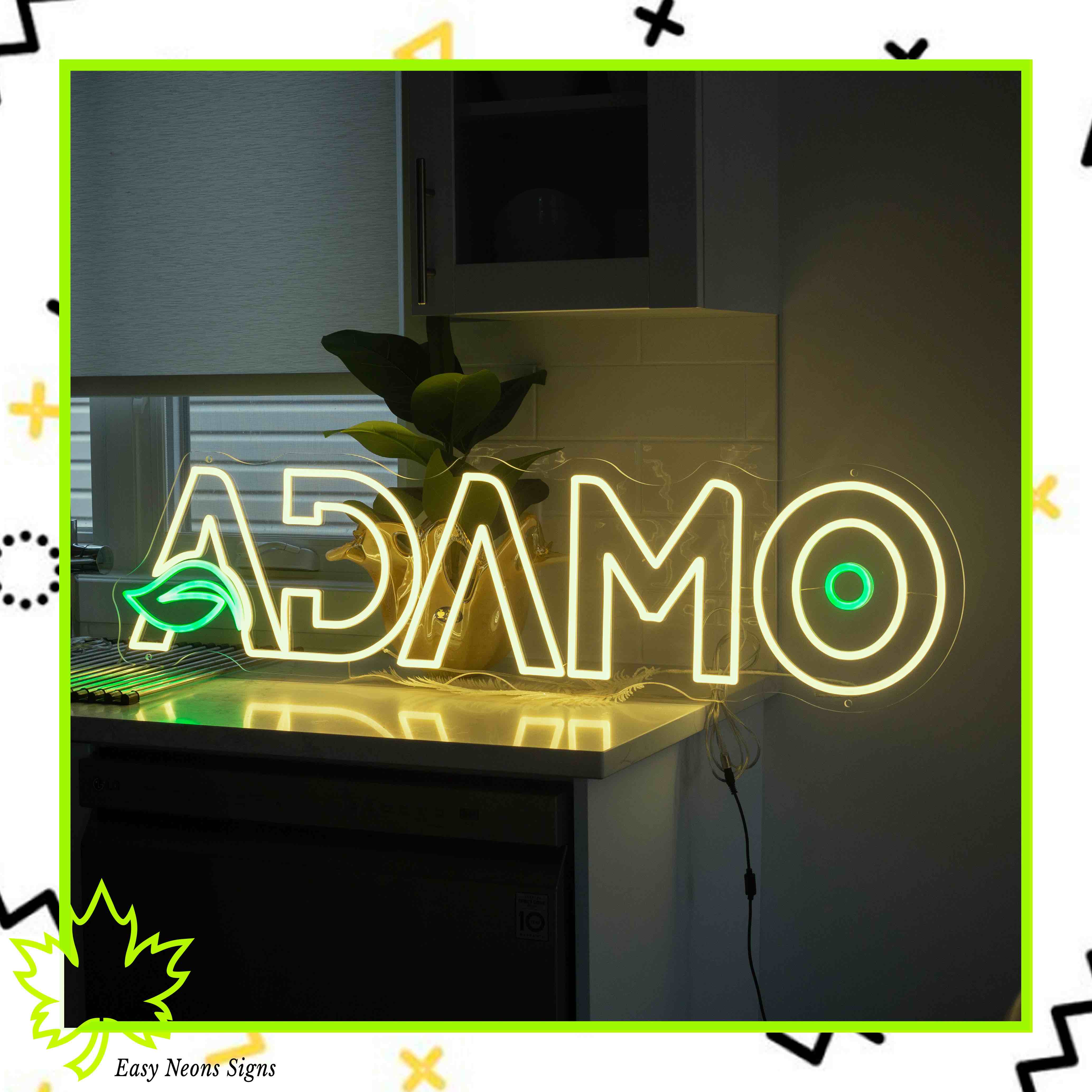 Custom Adamo neon sign wall installation example